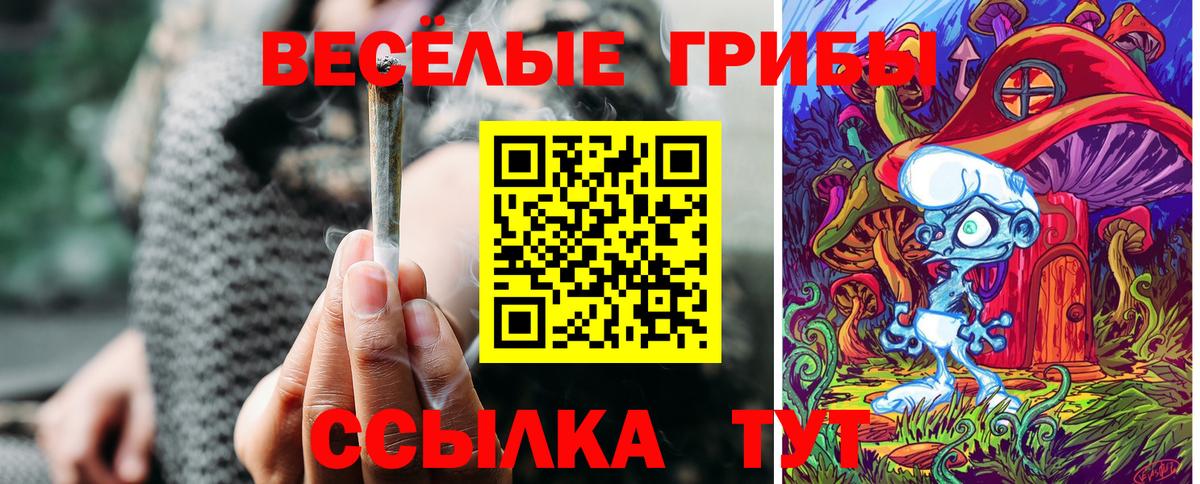 Галлюциногенные грибы мицелий  Галлюциногенные грибы мухоморы  Геленджик  Вход с VPN 