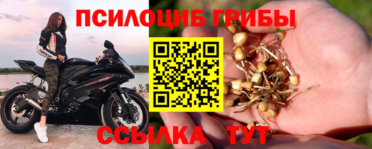Галлюциногенные грибы ЛСД Геленджик